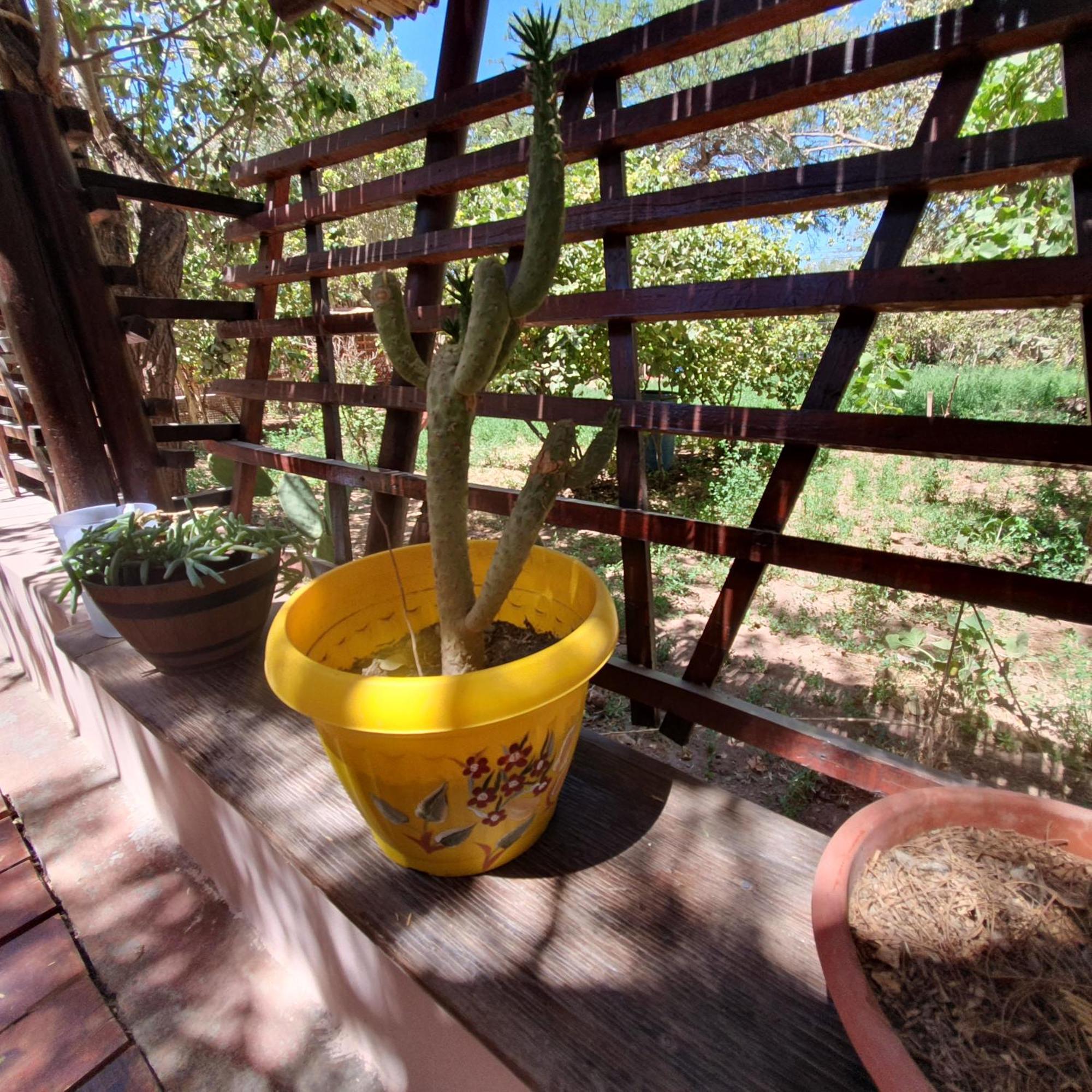Villa Refugio Don Natu San Pedro de Atacama Exterior foto